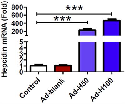 Hepcidin Protects Neuron from Hemin-Mediated Injury by Reducing Iron